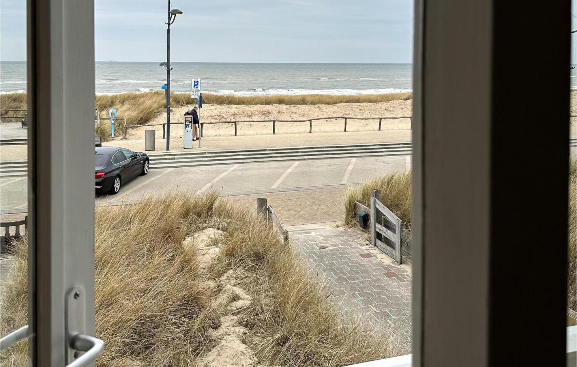 Vila Zwaluwnest Bergen aan Zee Exteriér fotografie
